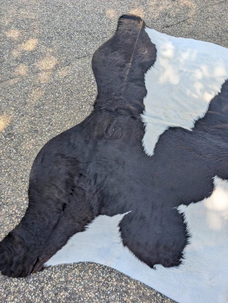 Black and white large cowhide rug with natural fur texture and unique characteristics for rustic charm spaces