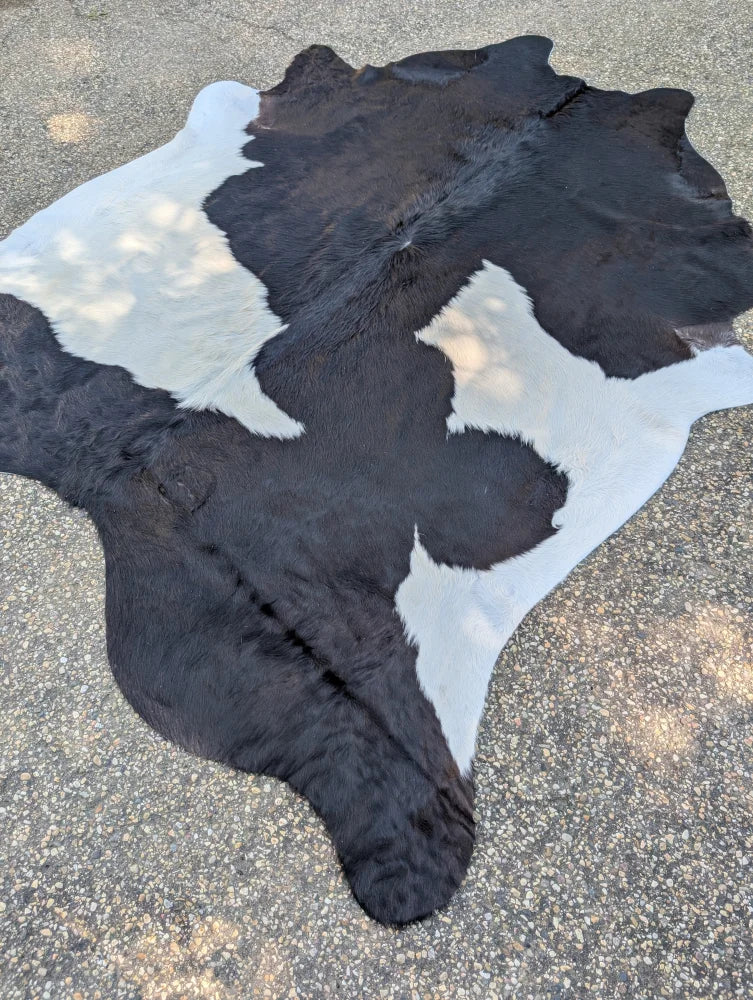 Large black and white cowhide rug 85.5 x 77 with natural fur texture and unique rustic charm