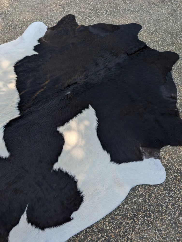 Large black and white cowhide rug with unique irregular patches and rustic charm 85.5 by 77 inches
