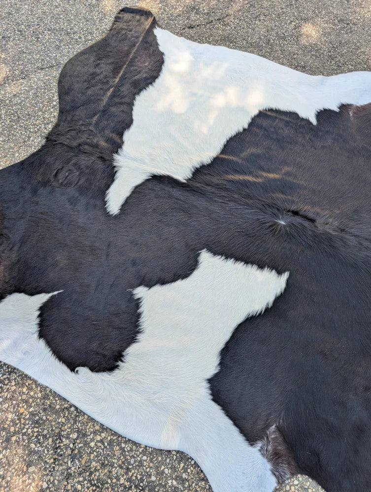 Large black white cowhide rug 85.5 x 77 with natural fur texture and unique characteristics for rustic charm