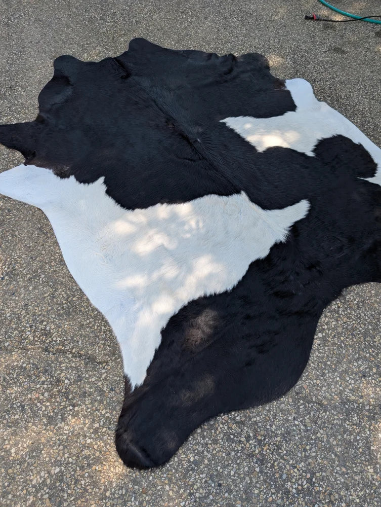 Large black and white cowhide rug with natural fur texture showcasing unique characteristics and rustic charm