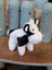 A plush black white cow toy with a giant snuggly muzzle and soft fluffy fur perfect for cuddling