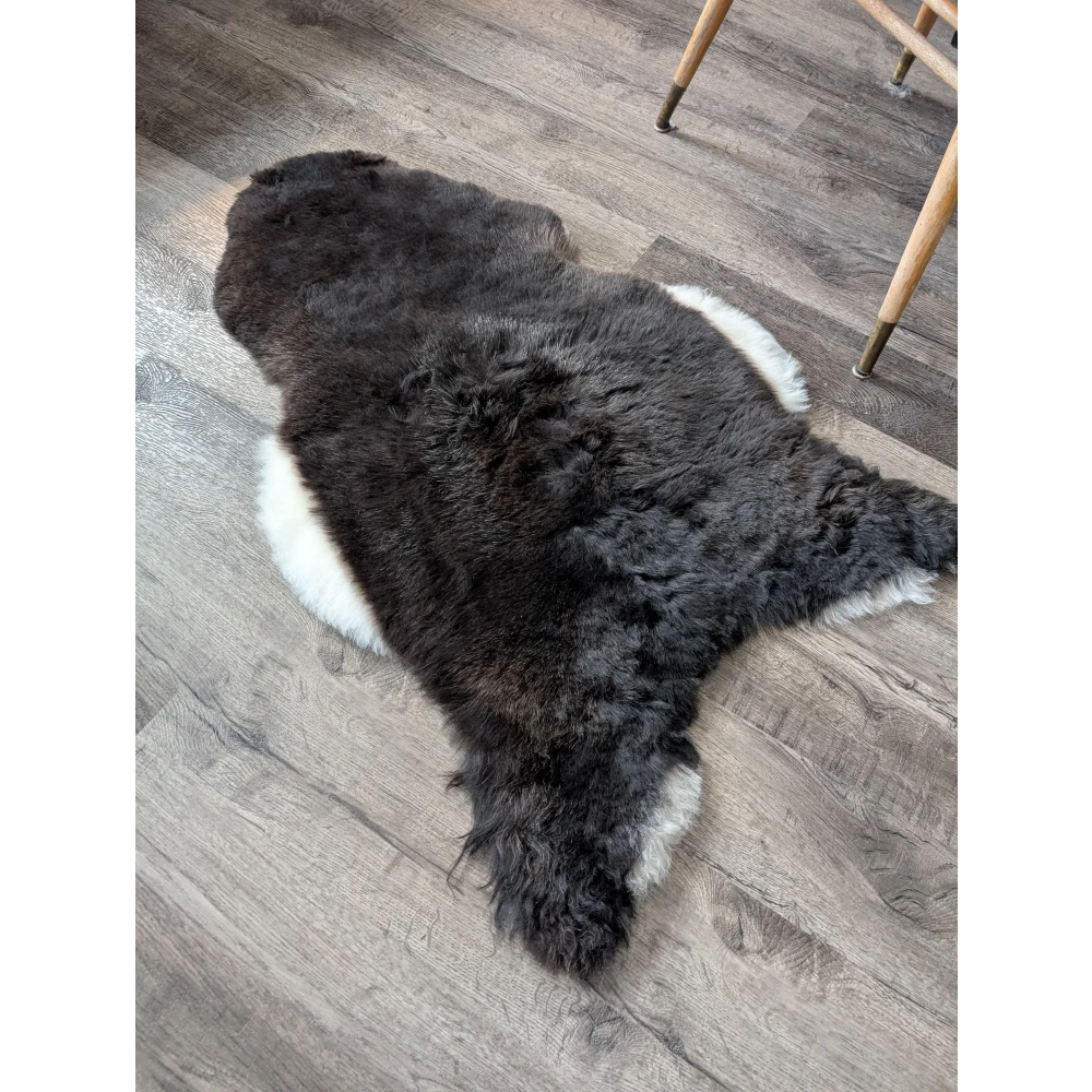 A plush black with white sides icelandic sheepskin rug with medium spotted icelandic short wool and natural shape