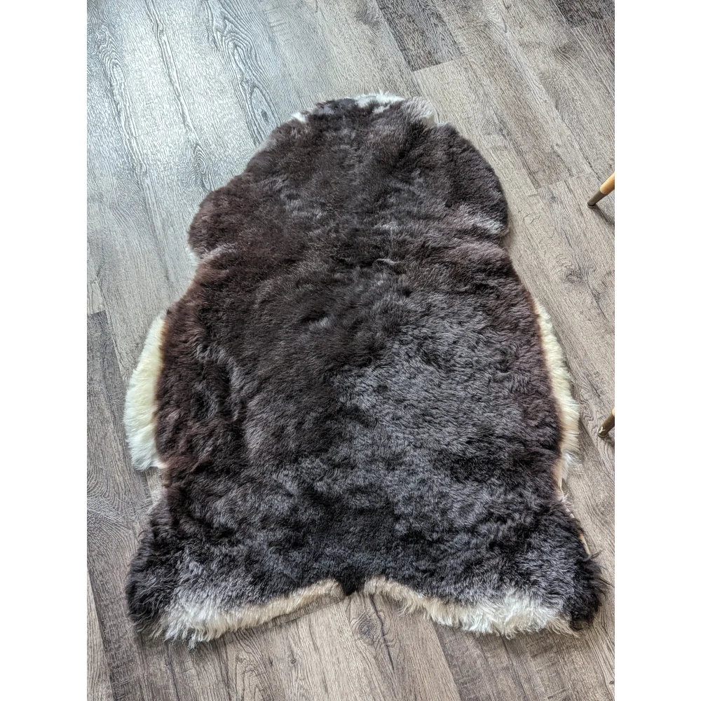 A plush icelandic sheepskin rug with dark brown to black gradient and white sides in medium spotted icelandic style