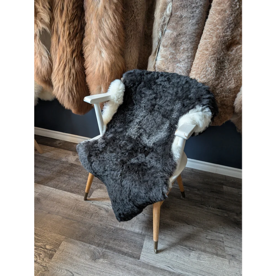A plush black with white sides icelandic sheepskin rug draped over a white chair with short wool texture