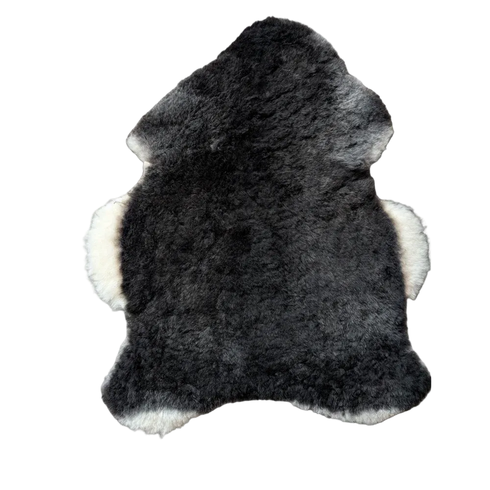 A plush icelandic sheepskin rug with a black center and white edges made of soft short wool perfect for cozy spaces