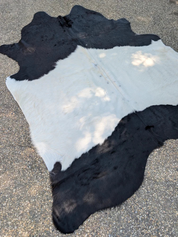 Large black and white cowhide rug blkwht#372 with natural fur texture adds rustic charm and belted galloway style