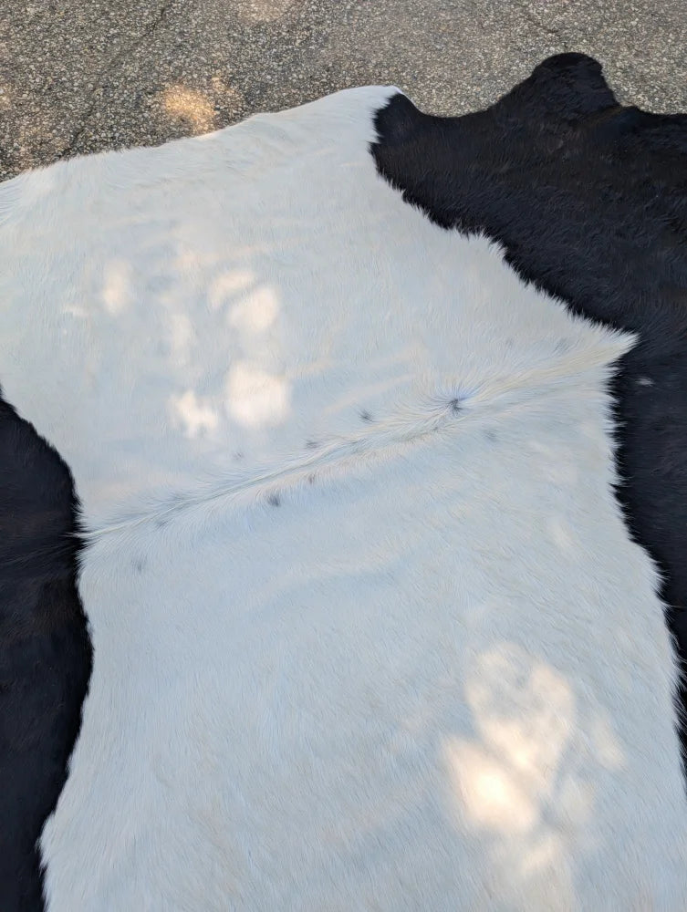 Large black and white belted galloway cowhide rug with natural fur texture adds rustic charm to any space