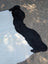 Large black and white cowhide rug blkwht 372 with natural fur texture perfect for rustic charm and belted galloway decor