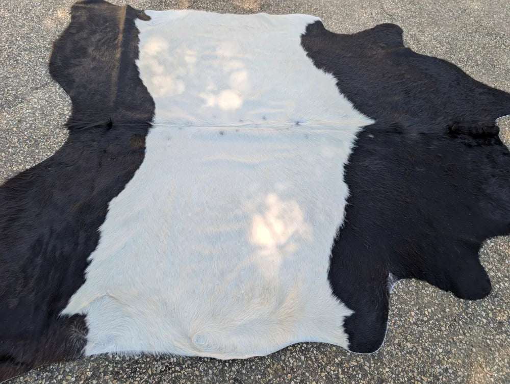 Black and white large cowhide rug with natural irregular edges adding rustic charm belted galloway style