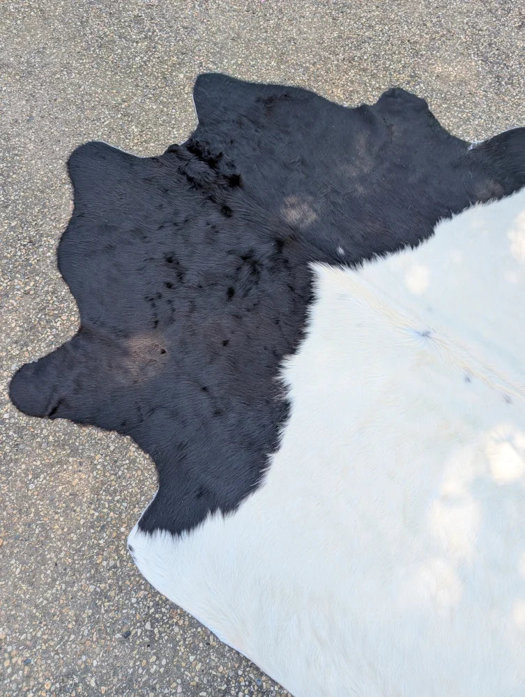 Large black and white cowhide rug with natural fur texture adding rustic charm perfect for belted galloway decor