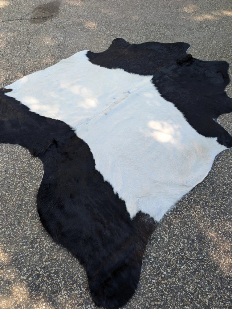 Large black and white belted galloway cowhide rug with natural fur texture adding rustic charm