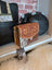 Bridle Blossom handtooled hairon leather purse with floral carvings