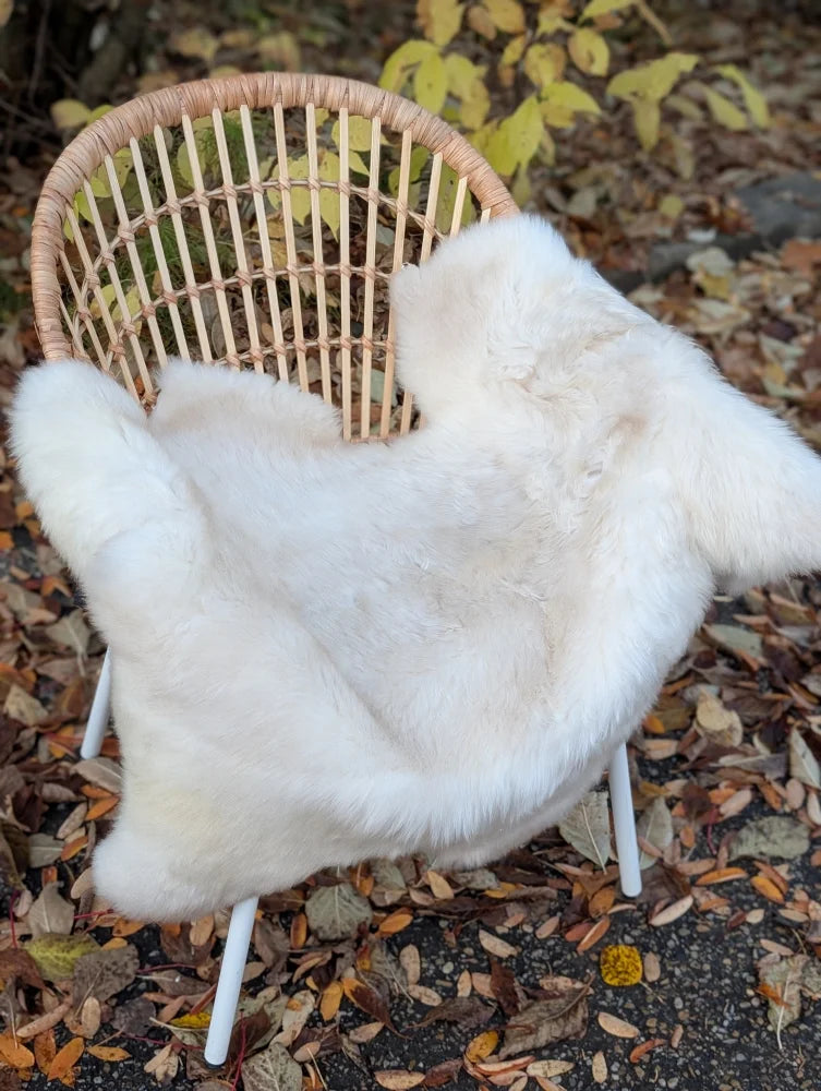 A plush off-white british isles sheepskin throw draped over a woven rattan chair for cozy style