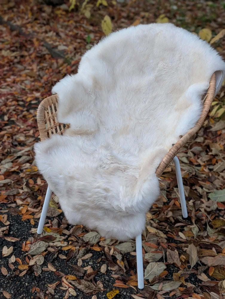 A plush white british isles sheepskin rug draped over a wicker chair with slender metal legs for cozy comfort