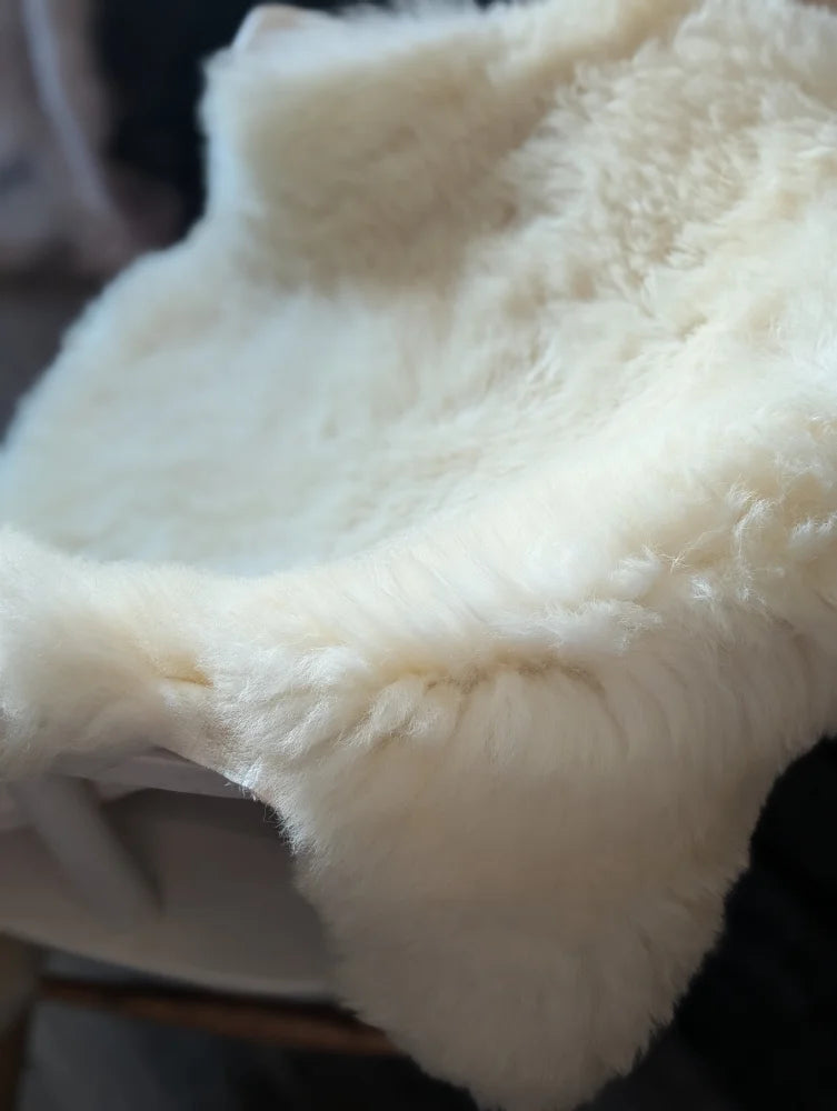 A plush off-white british isles sheepskin blanket with soft fluffy texture and natural fur pile measuring 48 by 32 inches