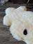 Cream-colored british isles sheepskin rug shaped like a bear with a dark brown patch on its back measuring 48 x 32 inches