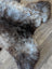 A plush naturally textured brit#13 british isles sheepskin rug in mottled dark brown gray and beige fur