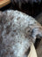 Back side of brit13 british isles sheepskin with fluffy gray and white fur in 47 by 31 inches size