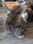 Thick fluffy brown british isles sheepskin rug with soft natural texture and white underfur trim sized 54 x 31 inches