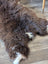 A plush natural brown british isles sheepskin rug with thick soft fur and subtle white patches on edges