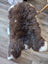 A plush brown and white british isles sheepskin rug with soft fluffy texture lying flat on wooden floor