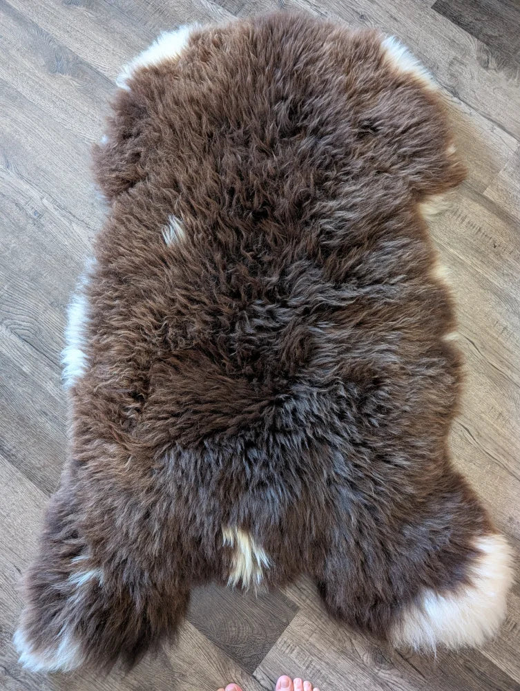 Brown and white british isles sheepskin rug with fluffy natural fur texture 54 x 31 inches