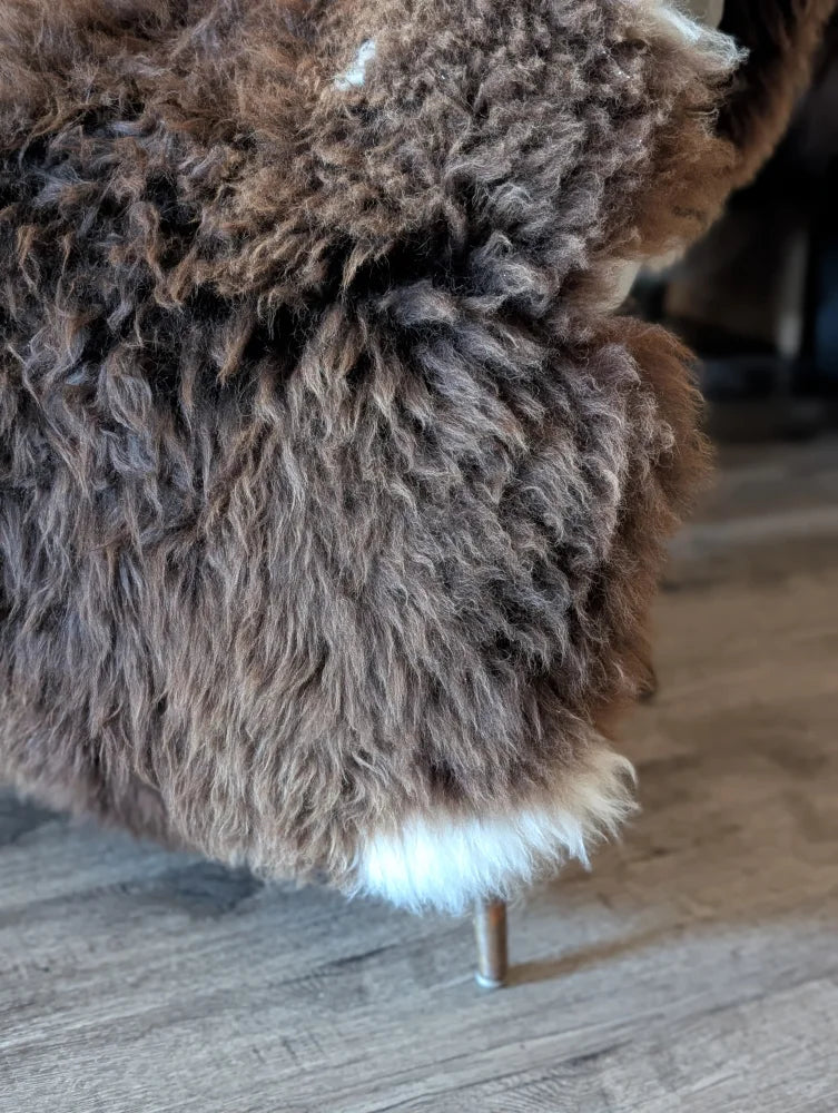A plush curly brown and white british isles sheepskin rug with soft natural texture measuring 54 by 31 inches