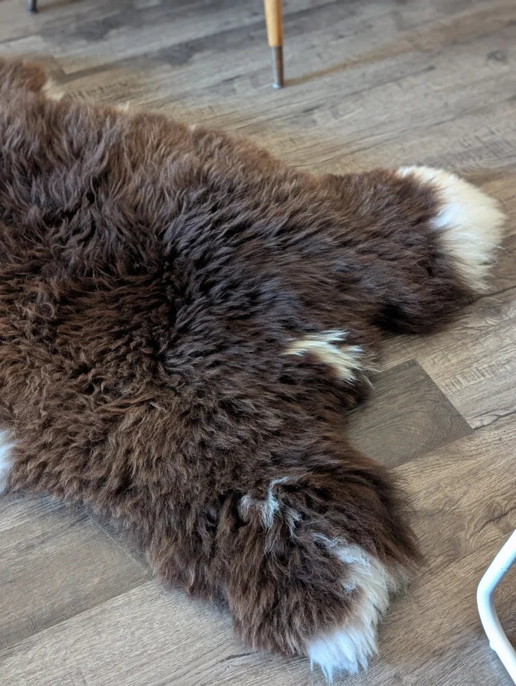 Brown sheepskin rug with white tipped fur edges in brit14 british isles sheepskin 54 x 31 inches