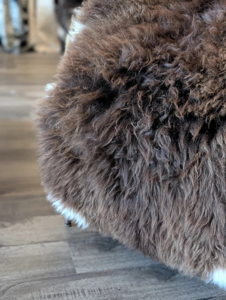 A plush curly brown british isles sheepskin rug with soft dense texture and white fur trim along the edge