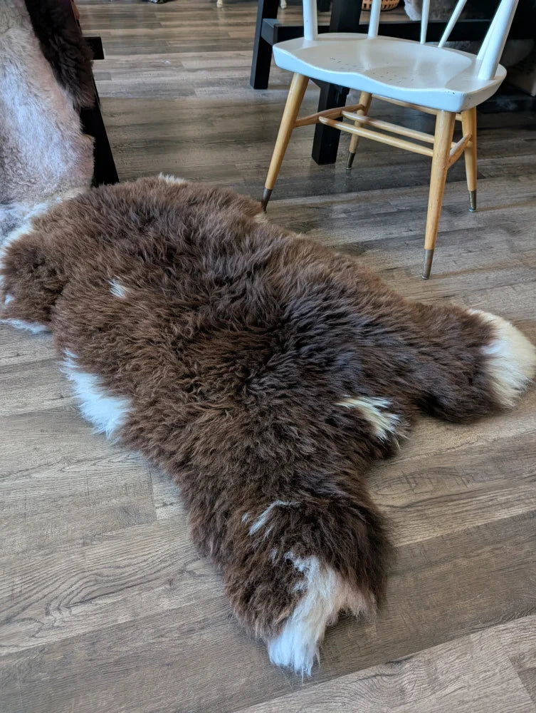 A plush brown and white british isles sheepskin rug with natural fluffy texture spread on wooden floor