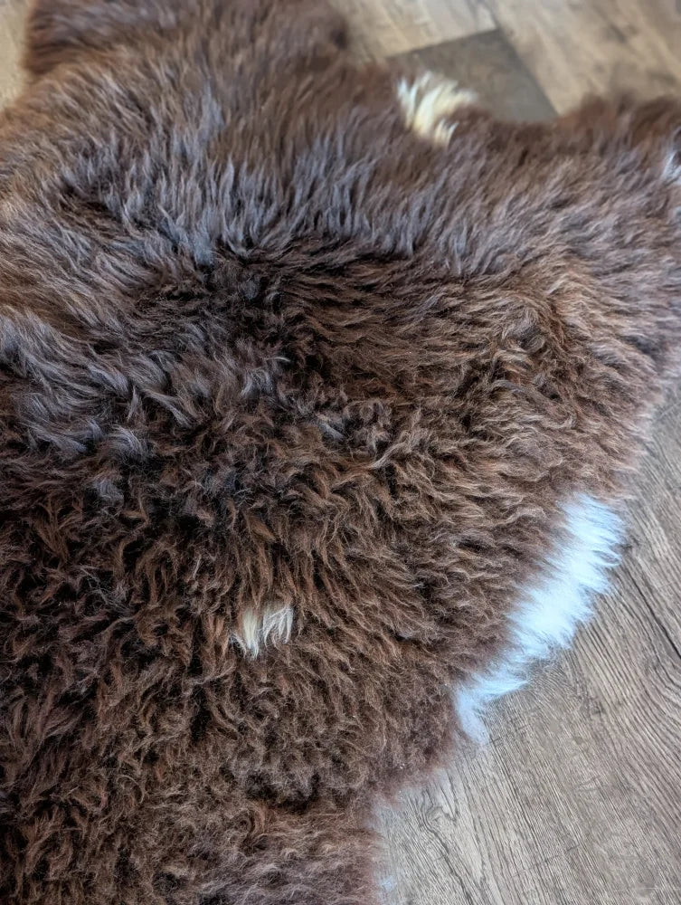 A plush curly brown british isles sheepskin rug with soft white patches perfect for cozy home decor