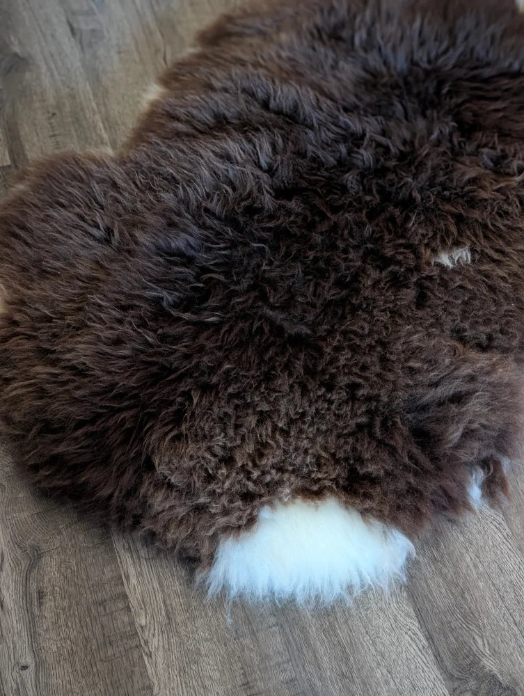 A plush dark brown british isles sheepskin rug with soft curly texture and a white patch at its base