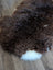 A plush dark brown british isles sheepskin rug with soft curly texture and a white patch at its base