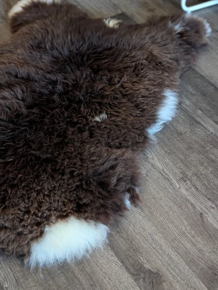 A plush curly brown and white british isles sheepskin rug with soft natural texture 54 x 31 inches