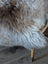A plush gray and beige faux fur british isles sheepskin throw draped over a wooden chair leg