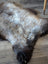 A plush british isles sheepskin rug with natural brown and gray tones measuring 47 by 29 inches