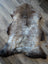 A natural brown and gray british isles sheepskin rug with soft dense fur lies flat on a wooden floor