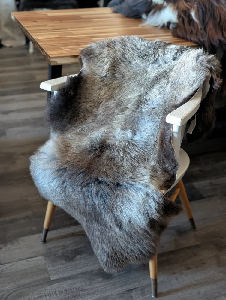 A plush natural-toned gray and black british isles sheepskin rug draped over a white chair with wooden legs