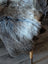 A plush gray and black british isles sheepskin throw draped over the back of a chair perfect for cozy use