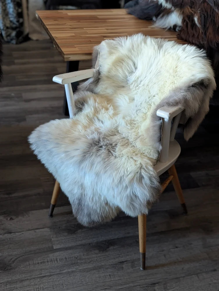 A plush cream and gray british isles sheepskin rug draped over a white wooden chair with tapered legs