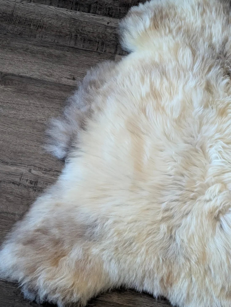 Cream-colored fluffy british isles sheepskin rug with natural fur texture and soft mottled tones 48 x 30 inches