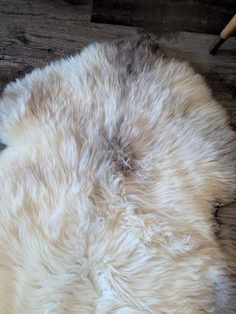 Cream-colored fluffy british isles sheepskin rug with natural tone and texture variations 48 x 30 inches