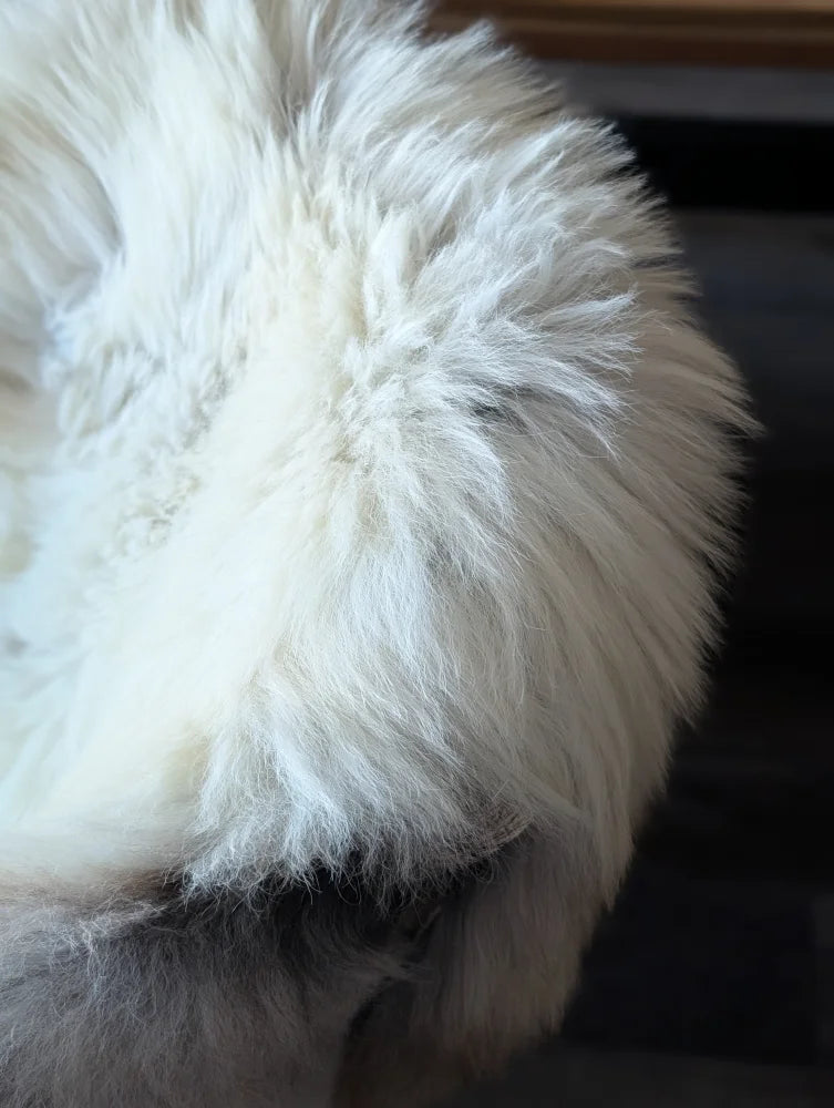 A plush fluffy white british isles sheepskin throw with soft long strands and slightly matted texture measuring 48 x 30 inches