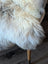 A plush cream-colored british isles sheepskin rug with soft fluffy texture and natural tone variations