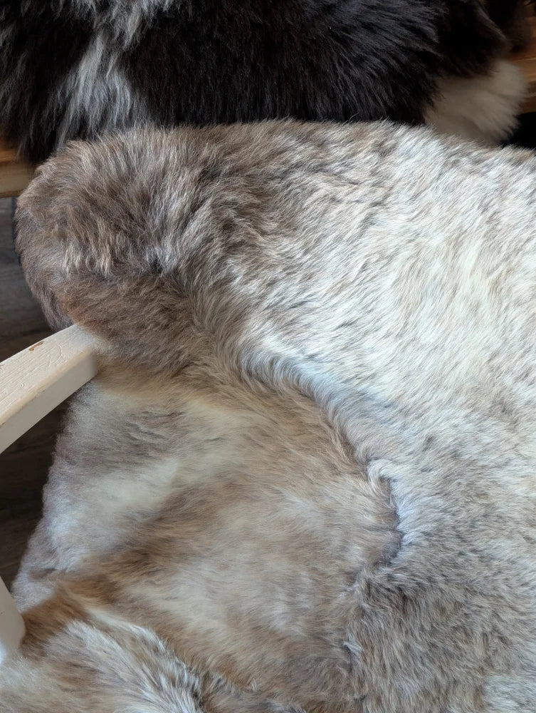 A soft gray and white plush british isles sheepskin rug with natural fur texture measuring 49 by 22 inches