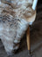A plush british isles sheepskin throw in natural brown and gray tones with soft dense faux fur texture