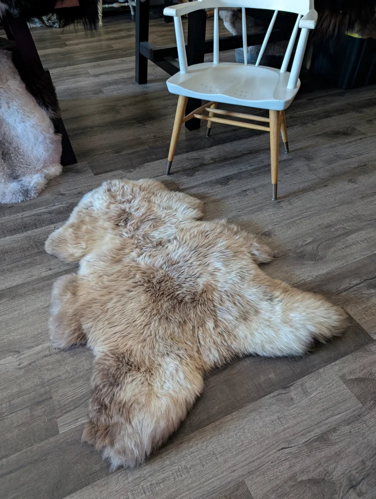 A plush light brown and cream british isles sheepskin rug with natural fluffy texture lying flat on a wooden floor