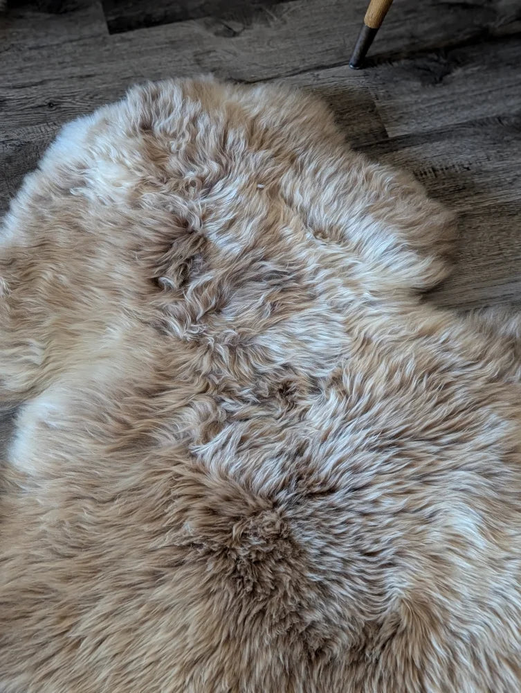 A plush british isles sheepskin rug with dense fluffy pile in soft beige and cream tones 48 by 33 inches