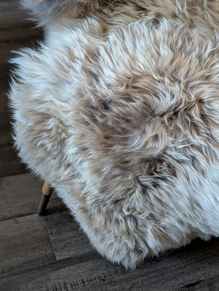 A plush cream-colored british isles sheepskin rug with soft curly texture and natural tone variations